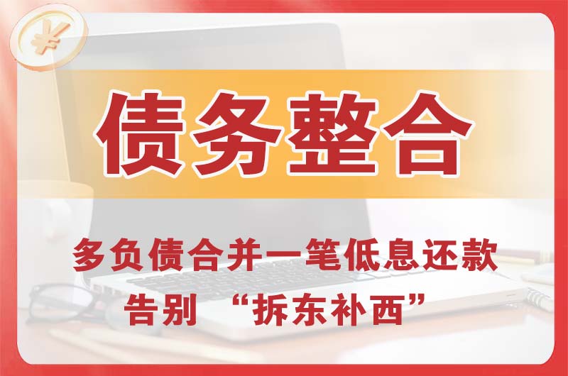 新民债务整合