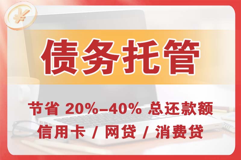 新民债务托管